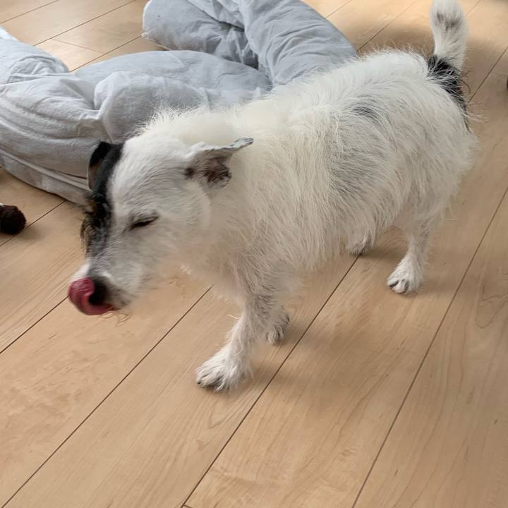 0006c92f 332f 4867 9189 d143446a79de 1724374069196