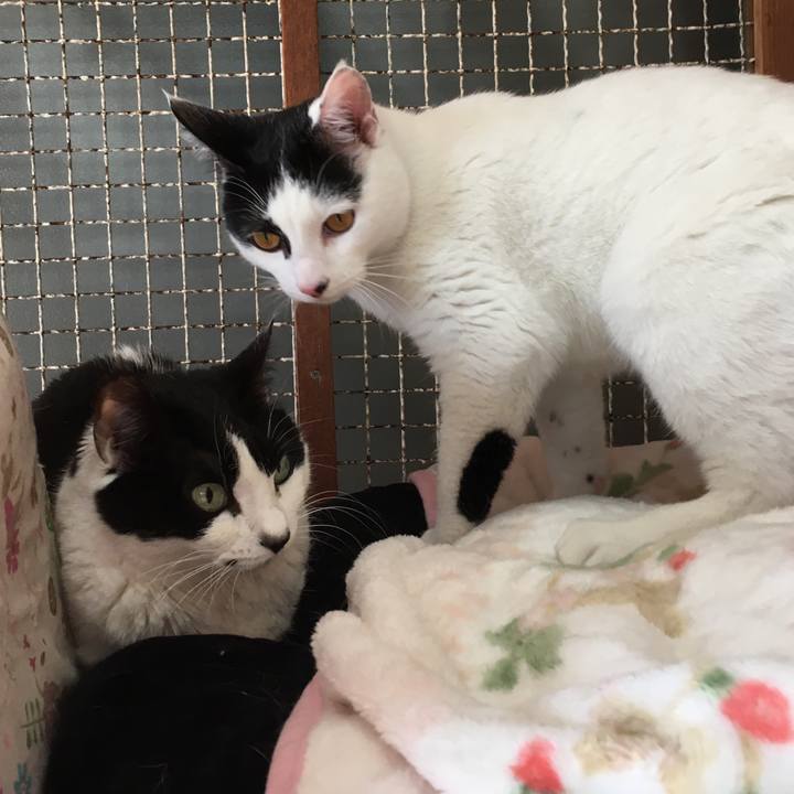 0006e209 e83c 495b a953 1d66a20c2f70 1580813196354