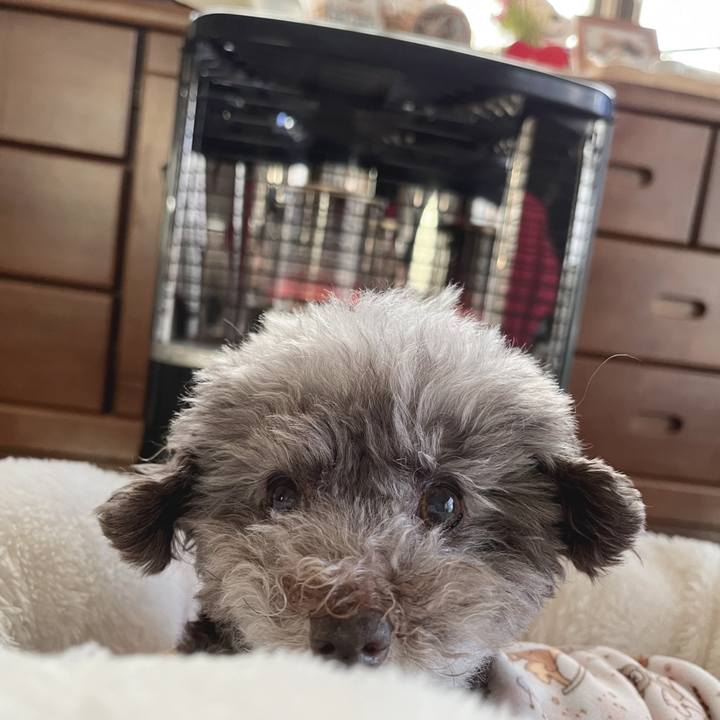 0006e826 9d9f 4301 b318 8e1ef9665a5c 1731969270162