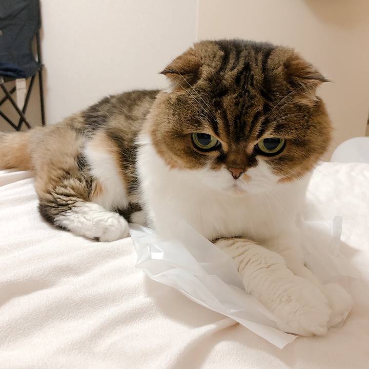 0006ef40 cb4d 4a0b b584 cb4b07948de8 1594394234368