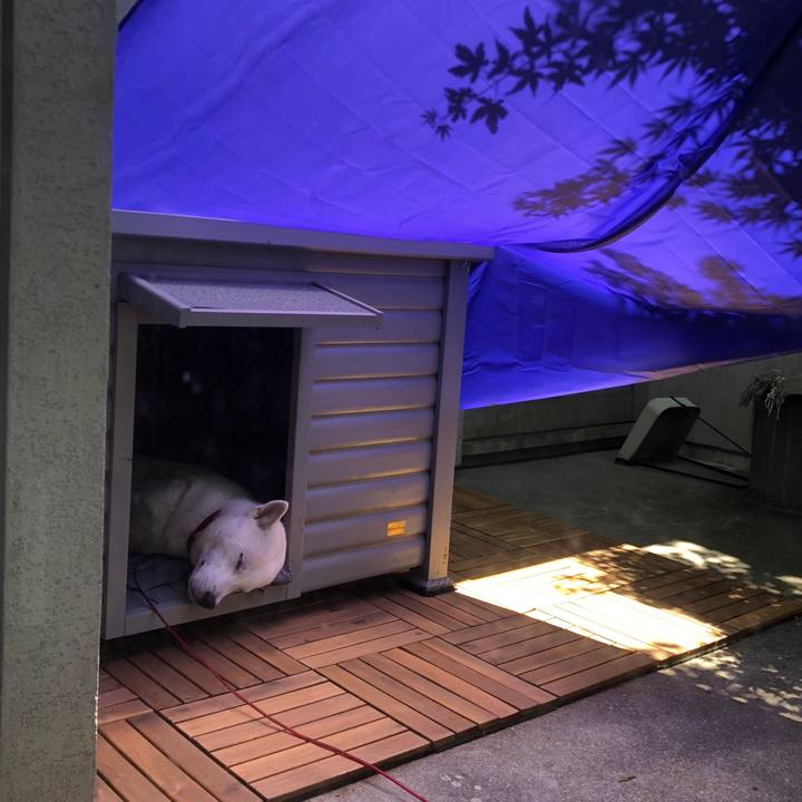 0006f304 e0d1 4517 9ea7 356f0ad211e3 1526983817501