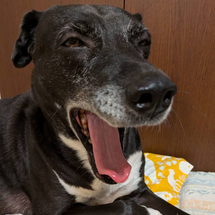 00070a79 240a 4015 8bdd 2d0ff68e16ab 1731235477113