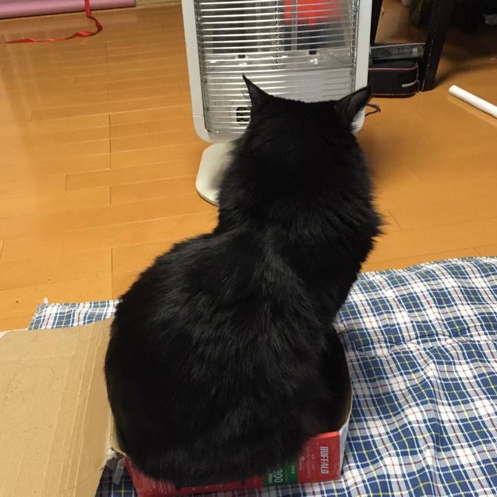 0007147b b655 41b6 be9f 2ac94a85fc7a 1513756637948