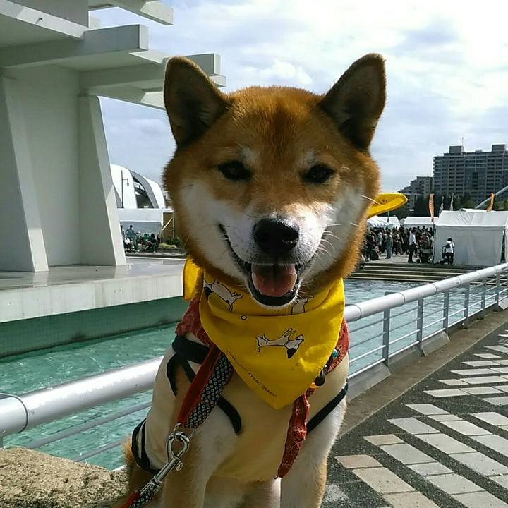 000750de d04f 4371 b0d8 05f3defbe412 1571553952021