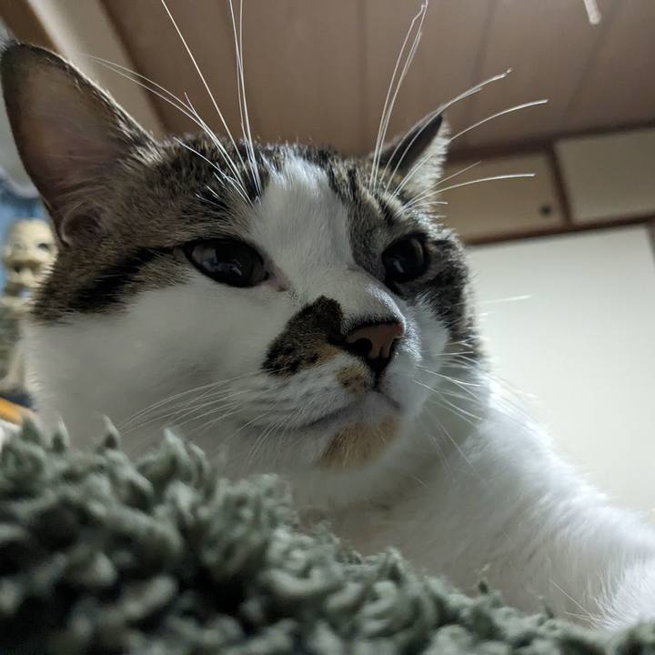 00075987 ef39 46d2 8b7c c577f536f1b3 1699746456359