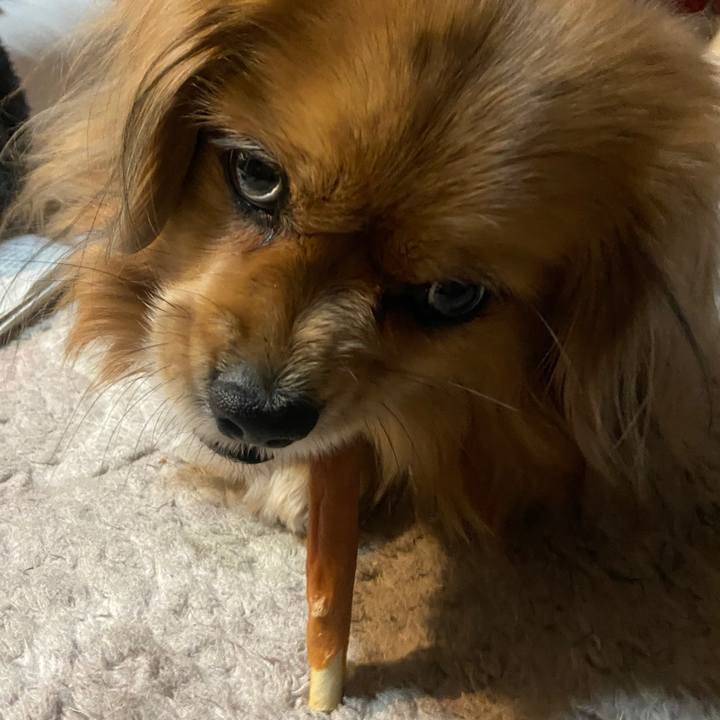 000766fe 8a97 470b b984 0db68ad89210 1674512335239