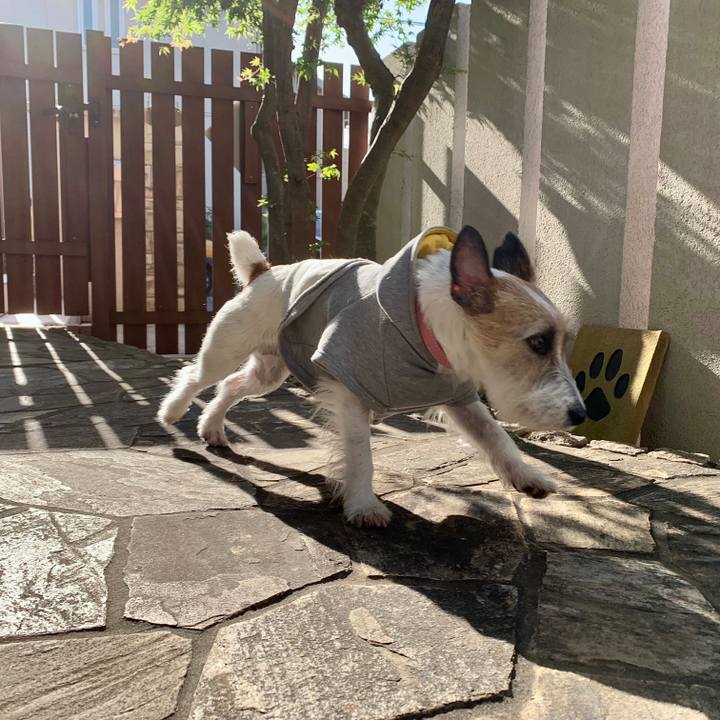 000768c9 54c2 4c5c 902b e12bc3917a35 1683259531731