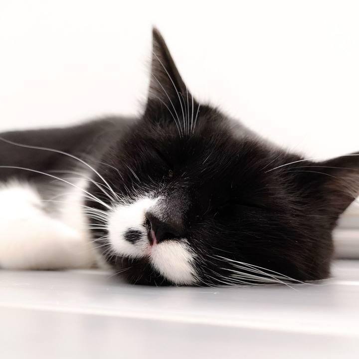 0007f231 a8c2 40be bba7 e791fbd52896 1557766148009