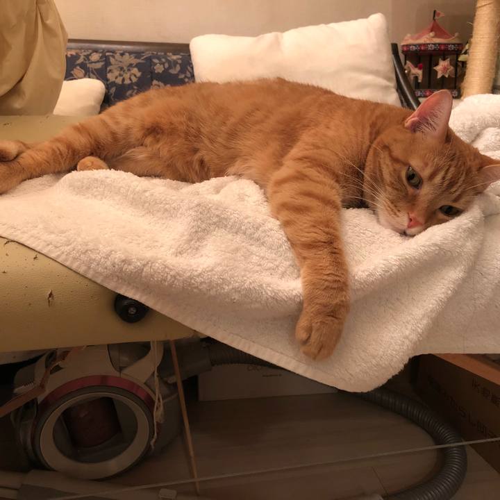 000849fb d809 448b 914b 337f2cea46f0 1557836647708