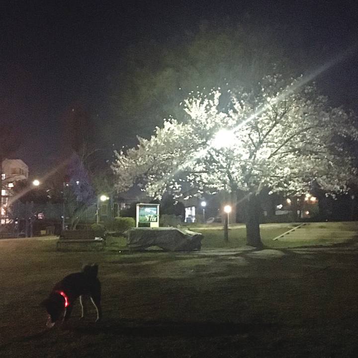 0008d8c6 c636 4c9c 8e26 361653455750 1521988696646