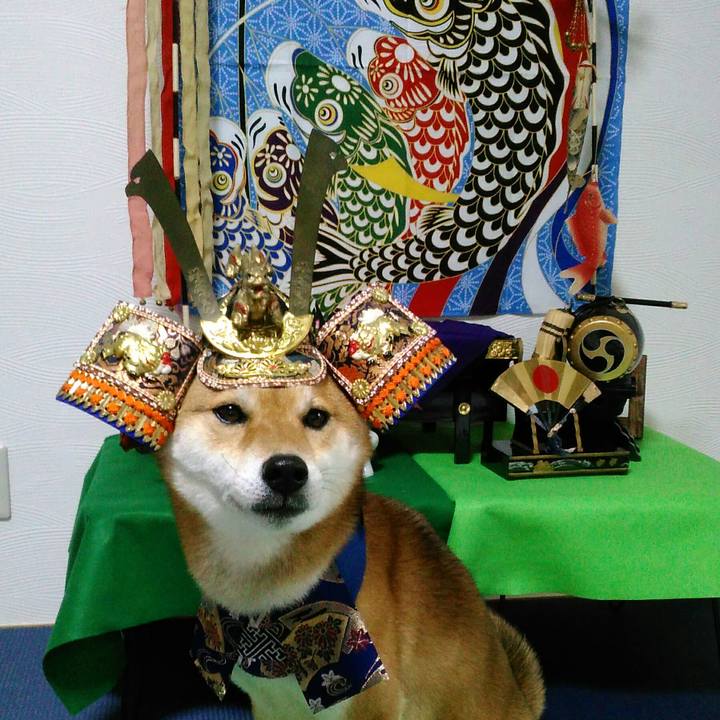 0008da67 9e7a 4ebb 8fd5 4782b65c2709 1525521401528