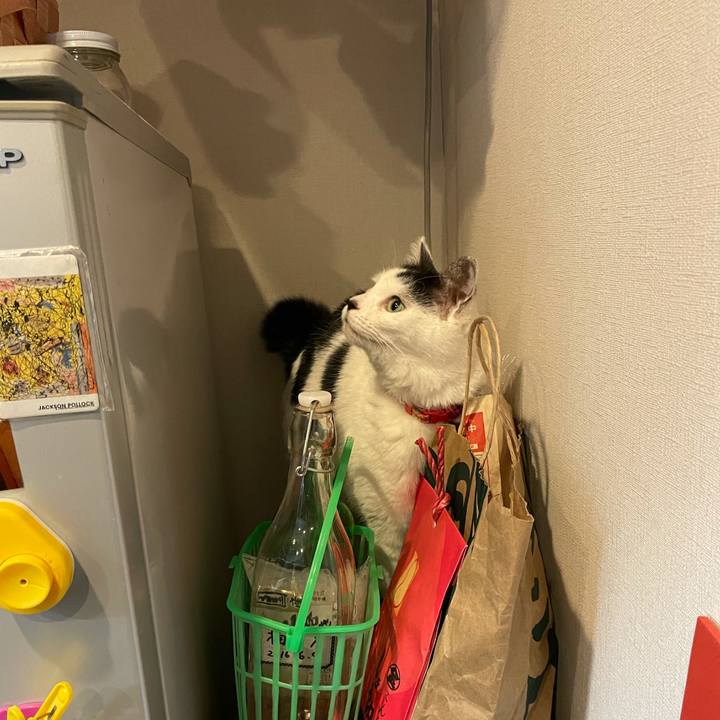 0008f3fd c231 45ae 8e47 162a757ed3fa 1611491843367