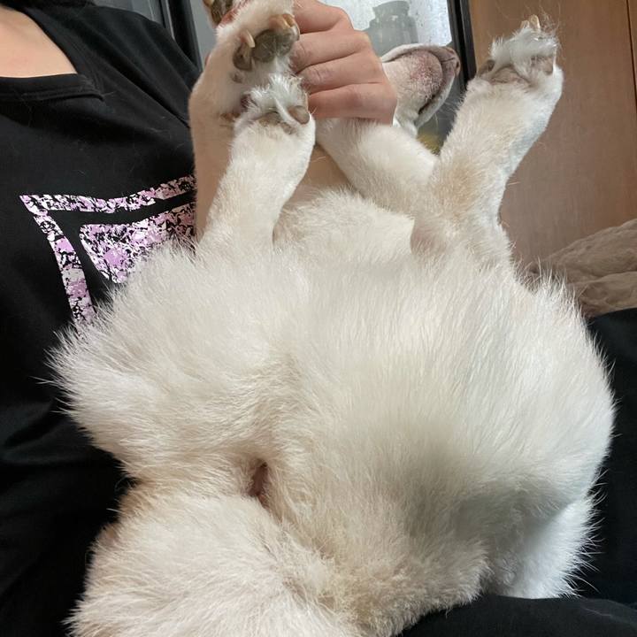 00090e5f 5c13 4dce b576 e0d9b5a26b6e 1636700760534