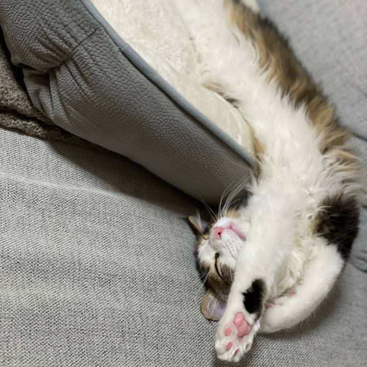 00090f04 de85 4db5 acbd 5cca8531e5fc 1636802758980