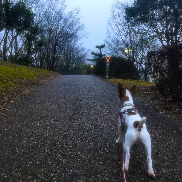 000928d3 0f78 4c3e 85bb d5b83e4c1883 1516201477381