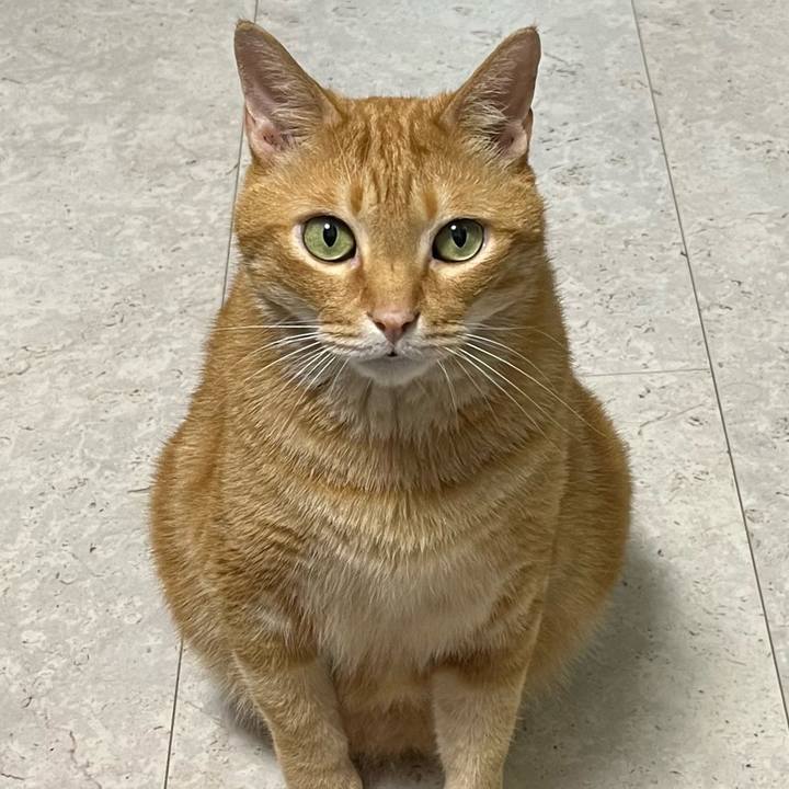 000930cf 8657 4541 a000 12883dca745a 1721686865745