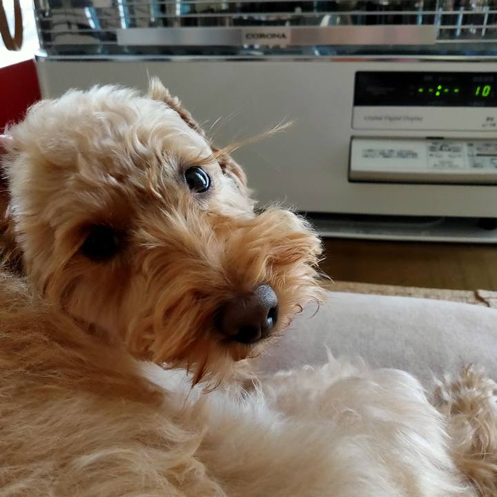 0009af9d 2aba 4690 941c aa816e69572e 1578791326437