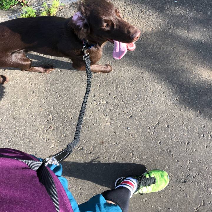 0009c5ae 3c22 488f a90c 555f9cbba3f8 1560722979285