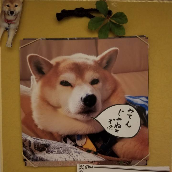 0009ebb5 609c 48eb 834d a88278ecf863 1609930178661