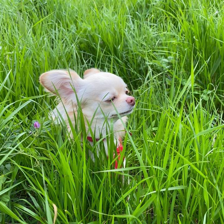 0009fcb2 29be 41b1 bacd 715f7f6a9b66 1618298380106