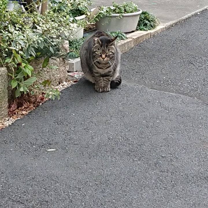 000a6e59 b22f 4fd1 b221 fa255189d115 1676187407828