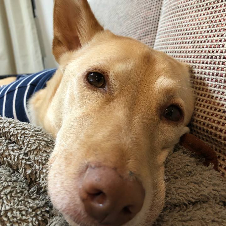 000a9685 ebaa 4b48 addf bb04dcc0b606 1702808532954