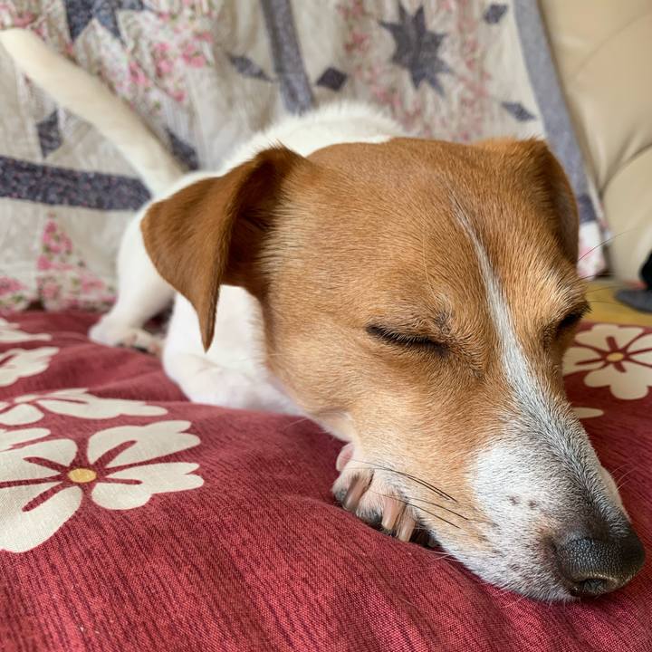 000ad817 e97f 4937 8bdd 76d17665c751 1583888897258