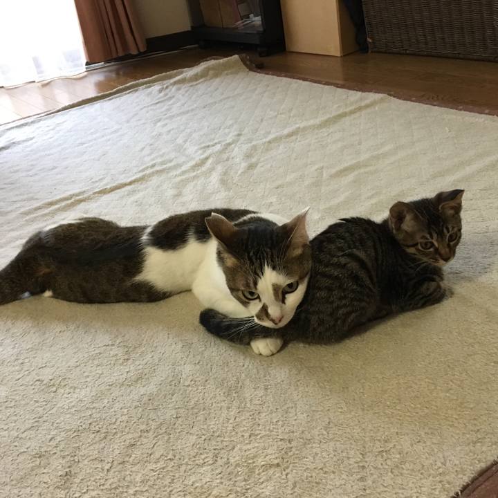 000b01ab bfe2 4942 a7b7 c1746c59c0a2 1532086671343