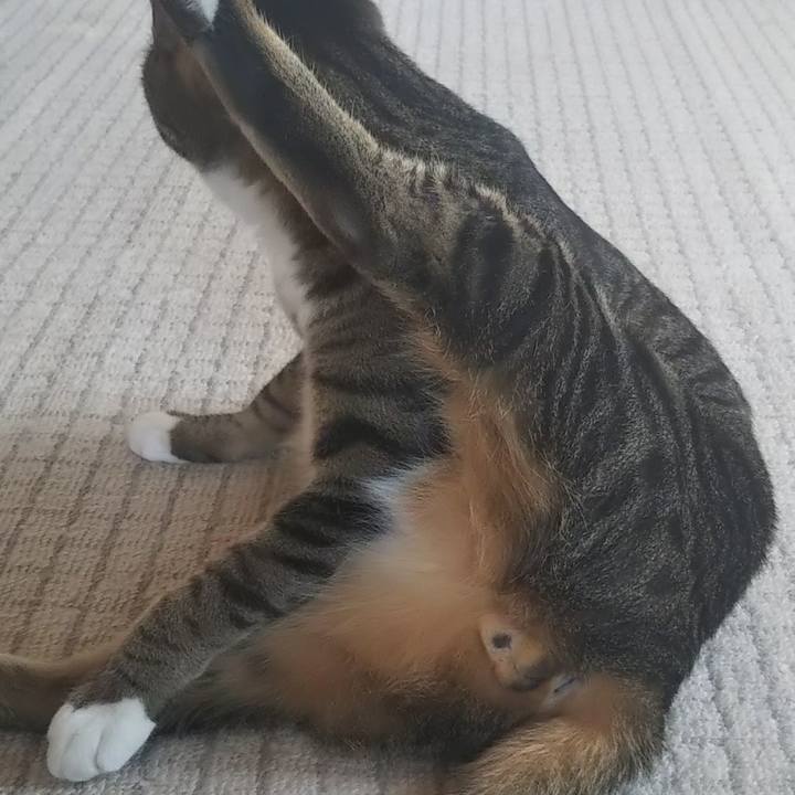 000b216b 128f 4b1d 848b f655dba8f4ba 1612788014899