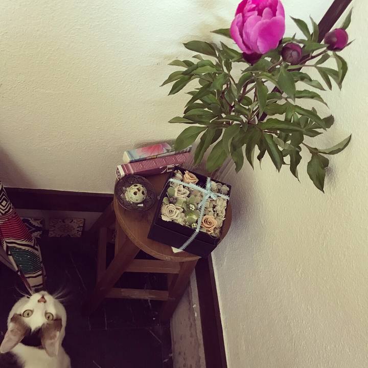 000b366e 8d01 407d 881e c001fe14f23f 1524884590409