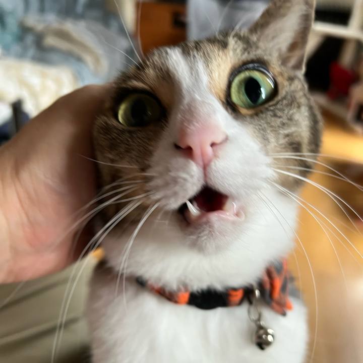 000b9af6 6c94 407b 912d 439bdf654383 1763910591215