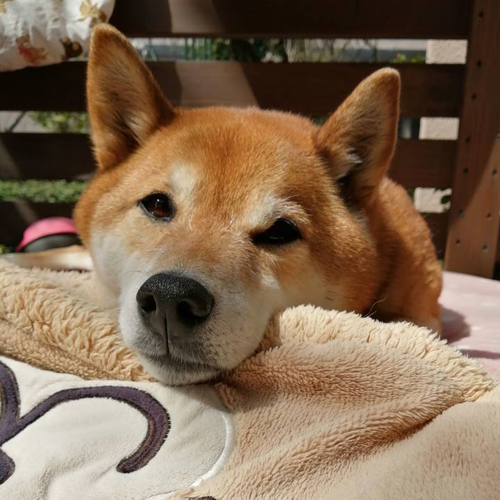 000b9c55 4732 4cd4 8195 dada1390d516 1648864641872