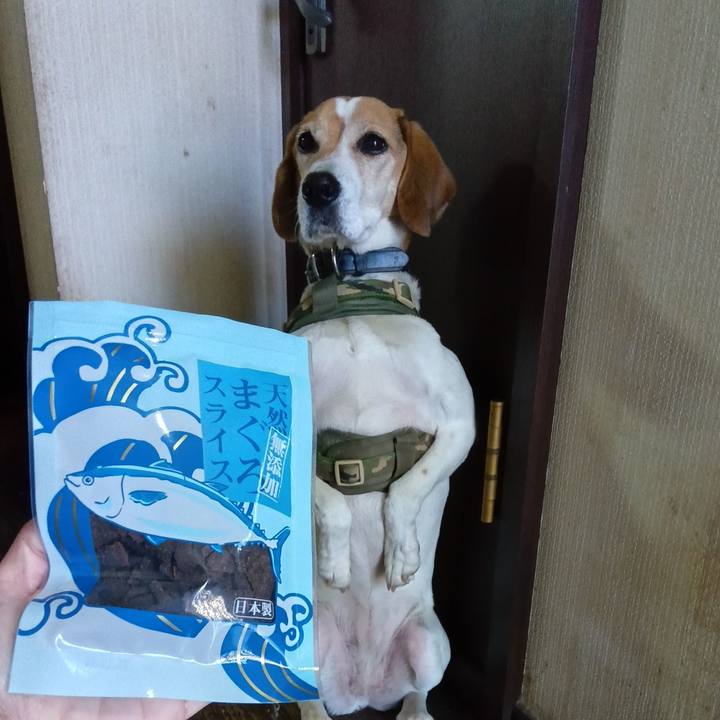 000ba94c 6868 426c a484 1737ea5efef3 1735286878705