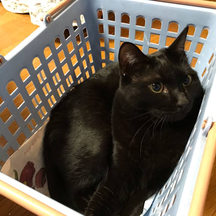 000bc368 d7a1 4db2 9437 bf0ee1df0e17 1670623079738