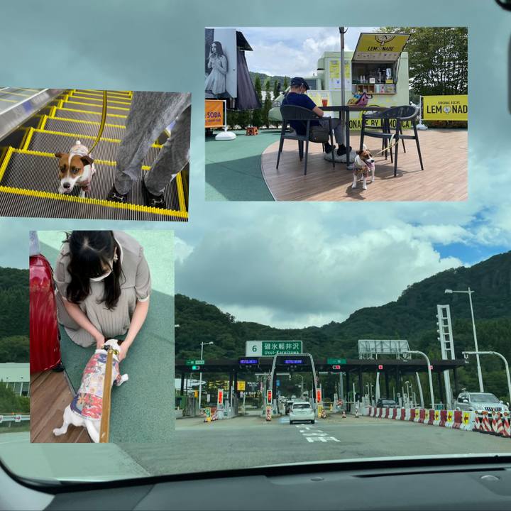 000bd21d 55f1 4d5e bbaf b48835d6c090 1629517628179