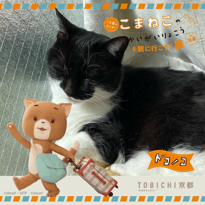 000be83c 6d9e 4a2e bb98 81d5572673b2 1740230024453