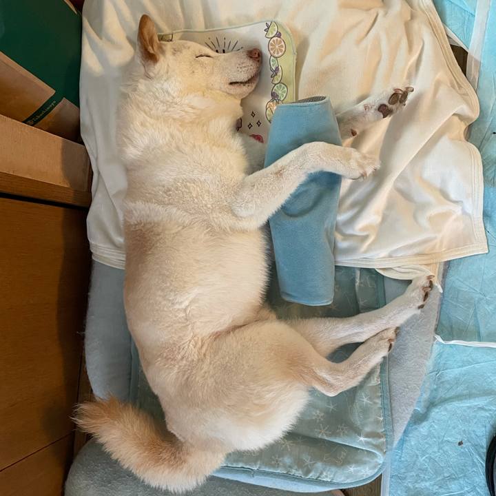 000bf082 4f20 4395 8b5a 8215355ee5f3 1634470025792