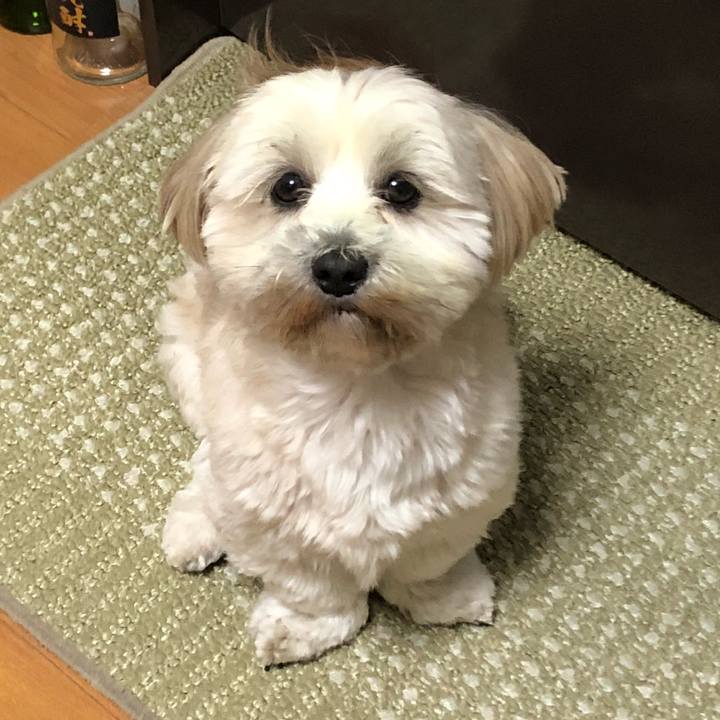 000c6d6a 13b2 488c b333 63fabd9263da 1510667378903