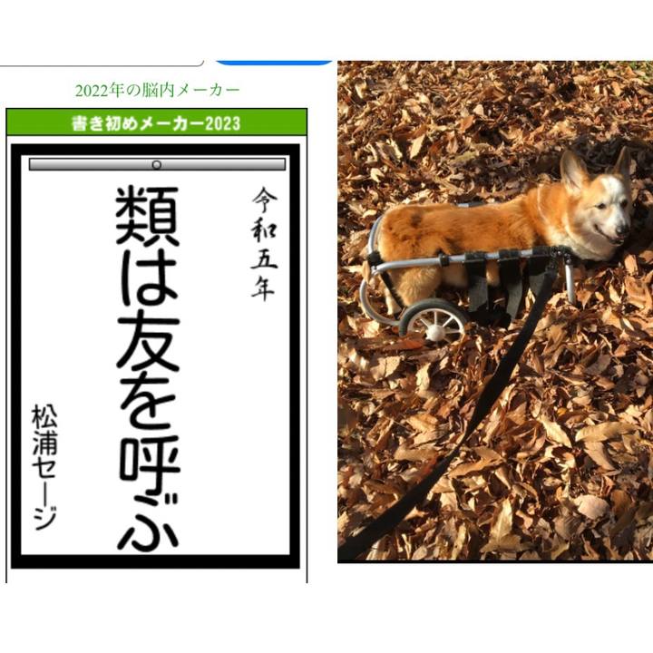 000c8a4b 33d7 4aa8 bf9e c883d8c736df 1672792445012