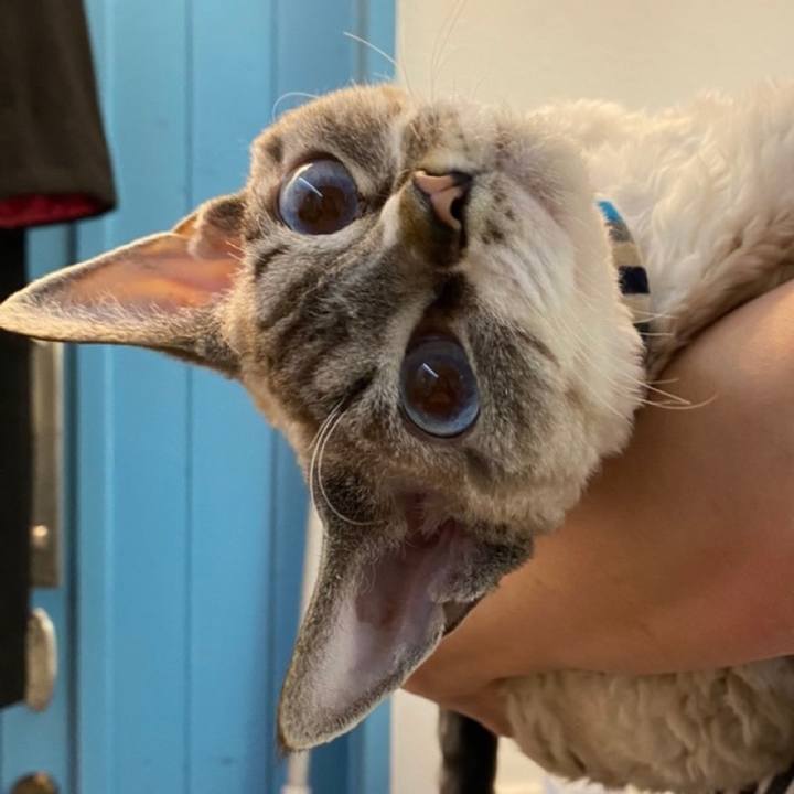 000cc8b4 82dd 4d04 aae2 22839ca46369 1608994298982