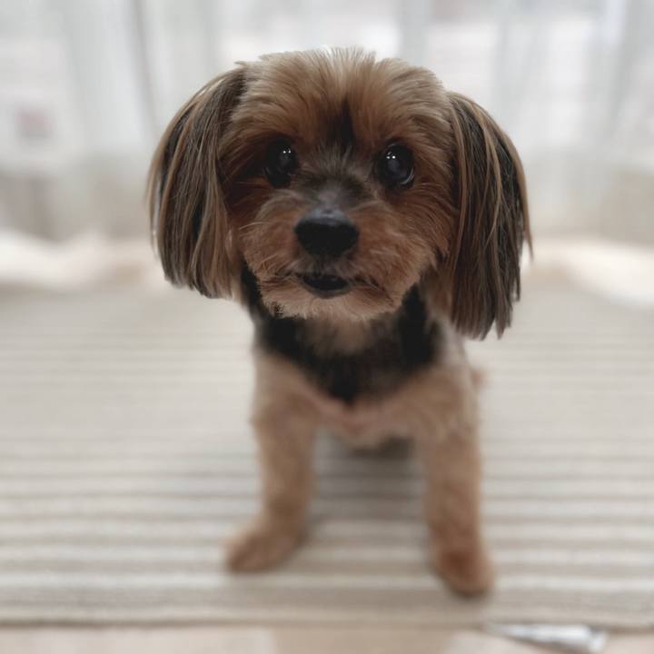 000d0be8 1b4e 40ed bef0 7dbe28b6c104 1719387990347