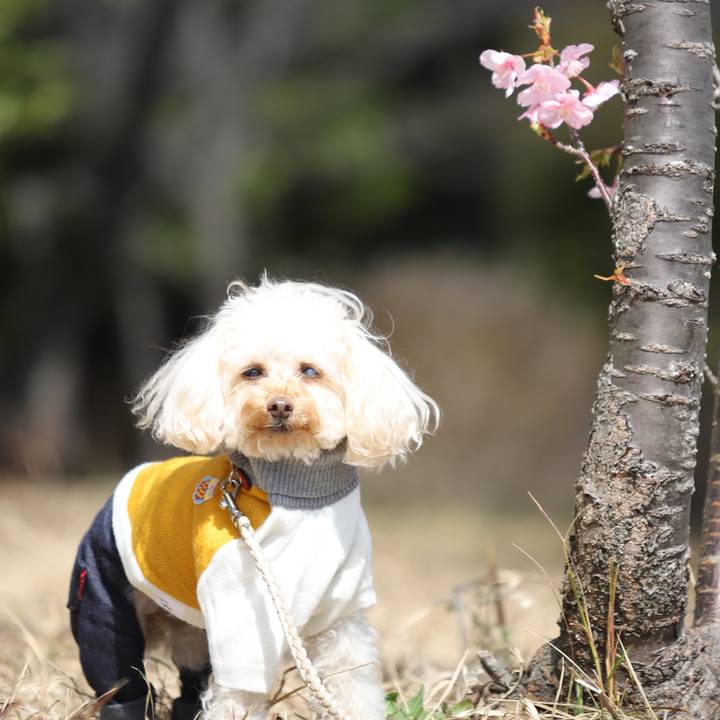 000d2adf d7e7 4646 87c9 121efa3b6f35 1614568822904