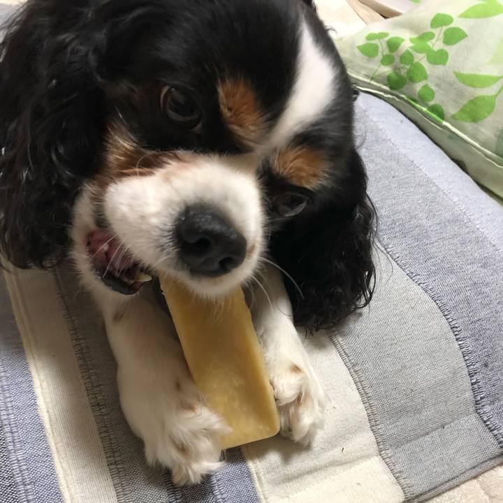 000d3383 a9dc 4da6 b21c e1423e8cc9c6 1562325755714