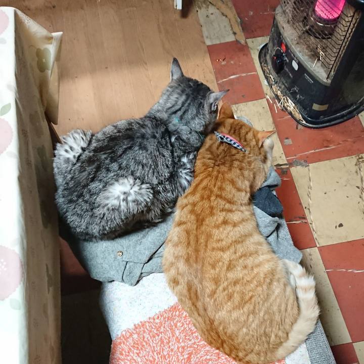 000d4742 33e9 4d57 b75a b815aa51d6cd 1575796308268