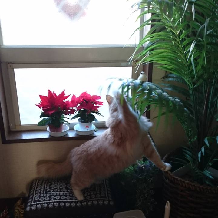 000d5bf0 63bd 4ee4 a7d4 ecdc17a0174f 1512186824441