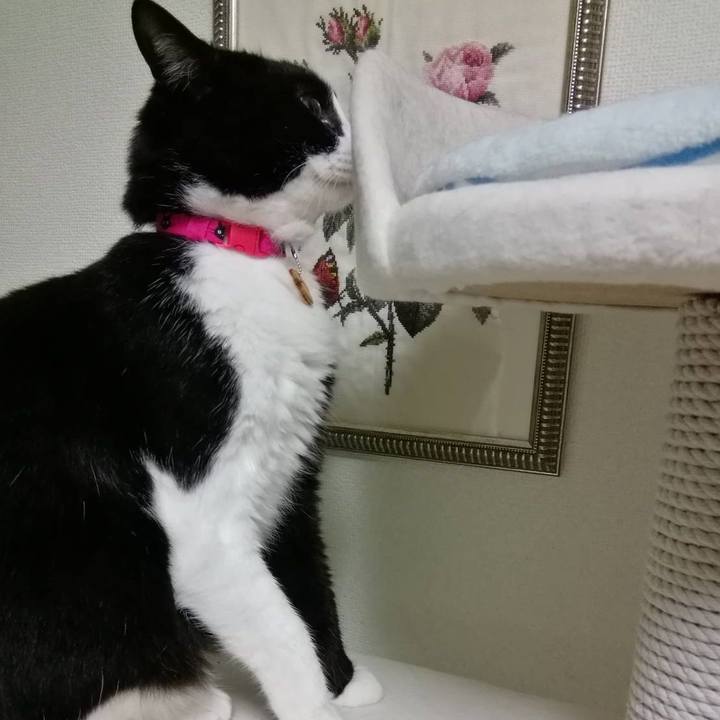 000d798a c11c 41c1 b645 1e6114d2a756 1556285288595