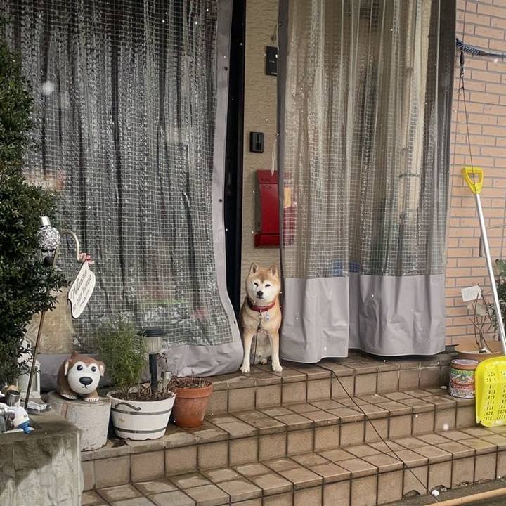 000d7da2 23f0 4027 b9ca 5f9a7944f2e0 1739243302187