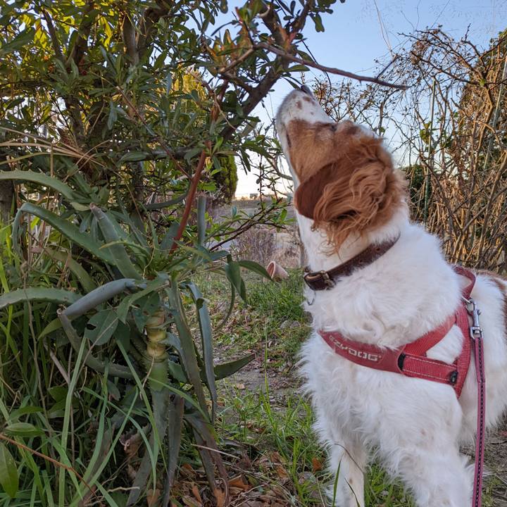 000d8849 1400 420f bb64 66892c8e5be9 1641641438566