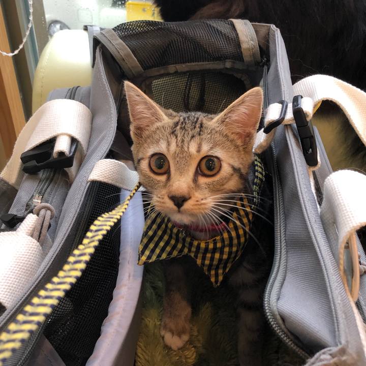 000d99a2 96c2 4093 95bb f1abb82b6ad6 1549441848720