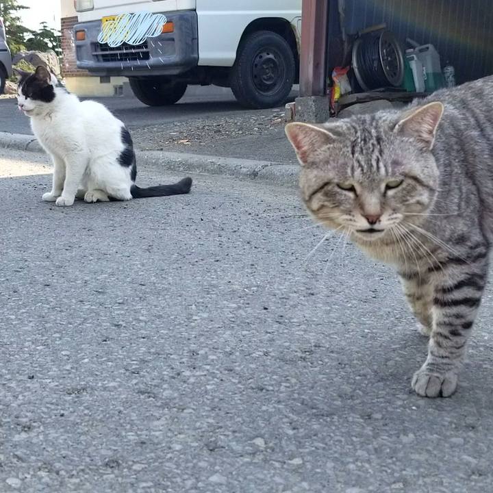 000db7aa 03de 4179 aa79 b15ce0daad82 1650454887992